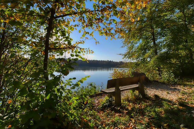 是弥足珍贵 是弥足珍贵