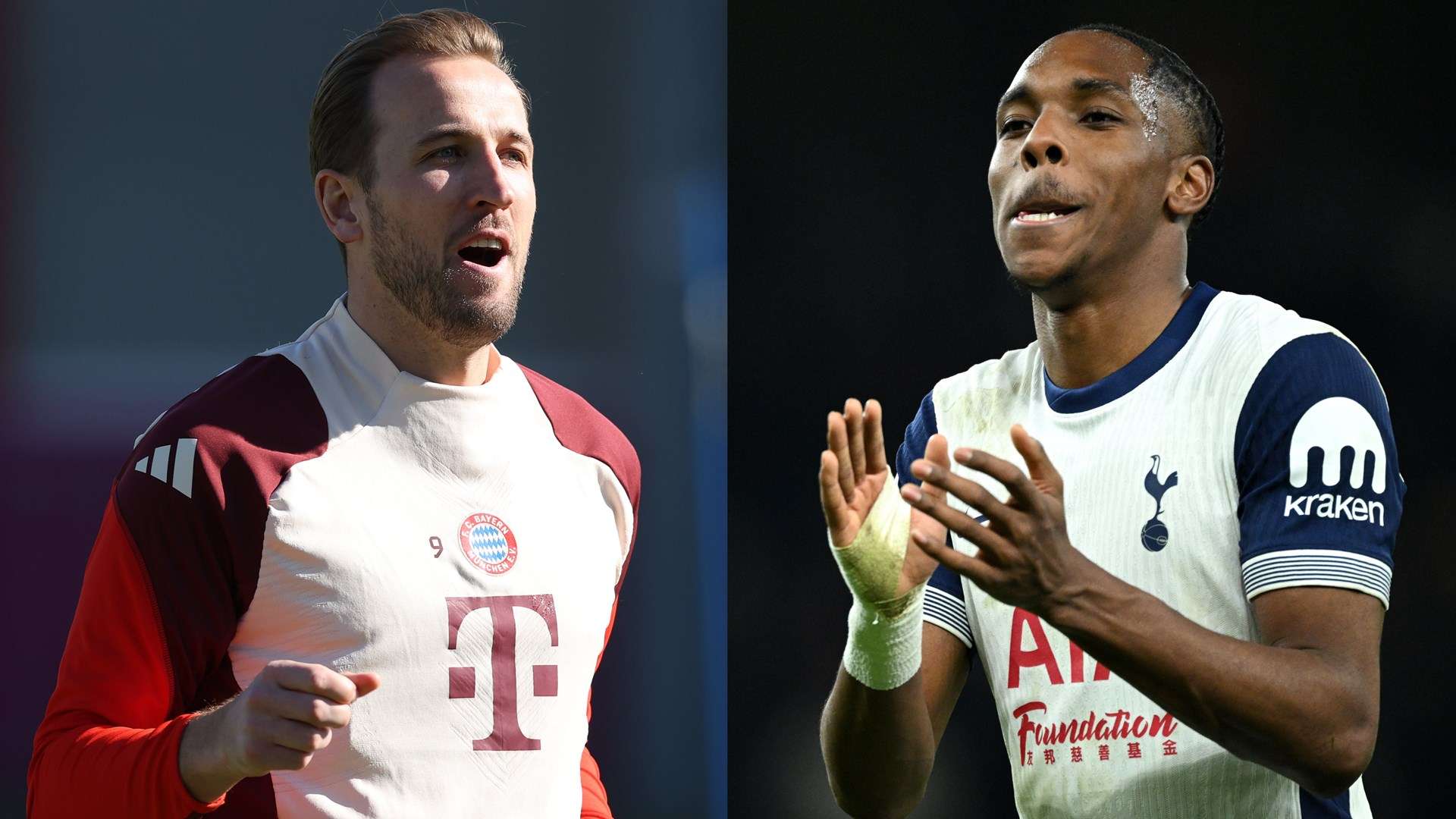 我们欢迎来 我们欢迎来