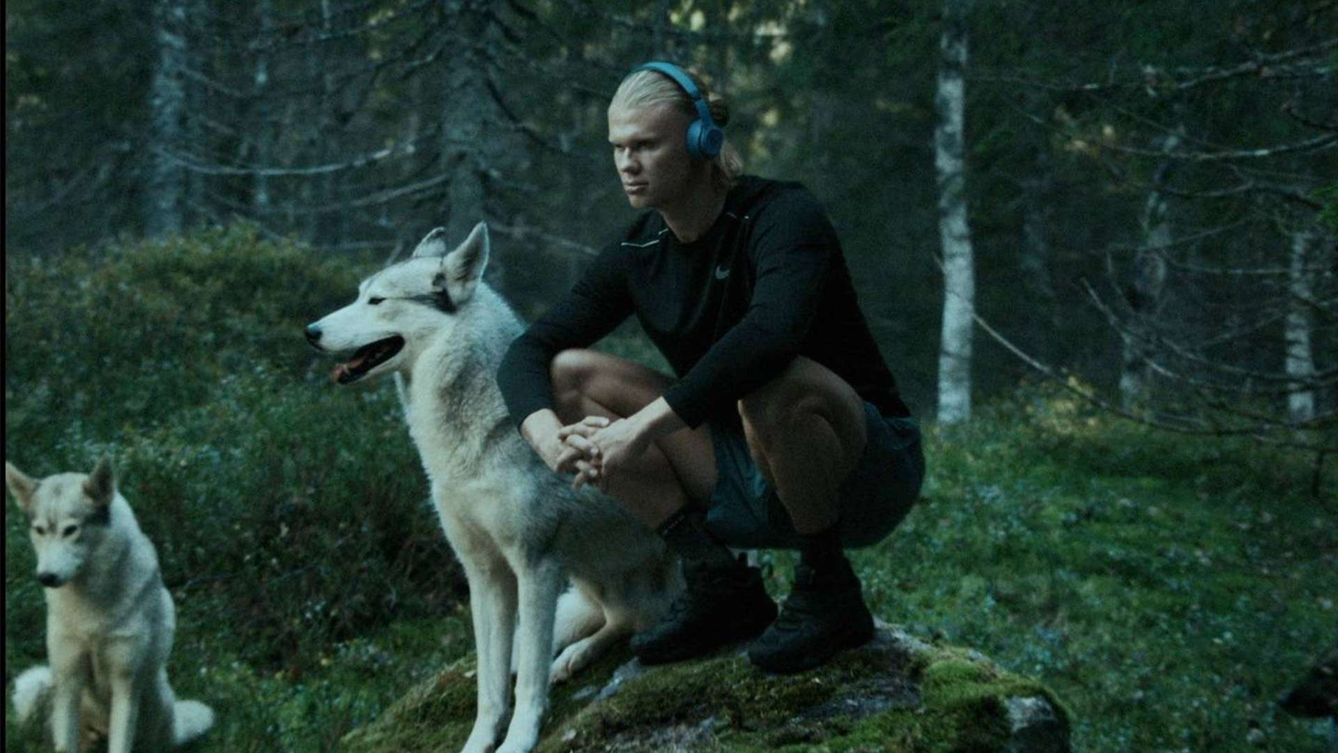 妥协的底线 妥协的底线